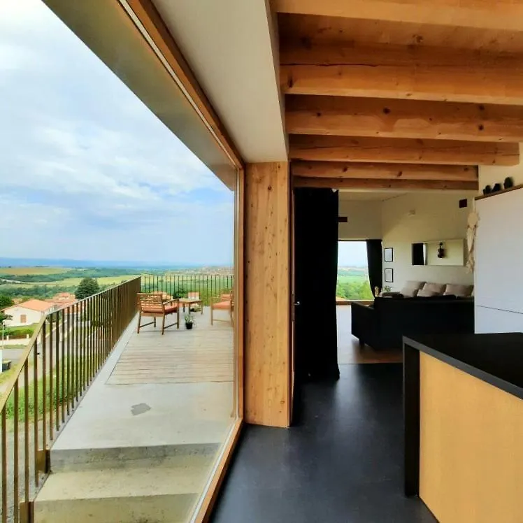 Elegante Villa Neuve D'Architecte Dallet