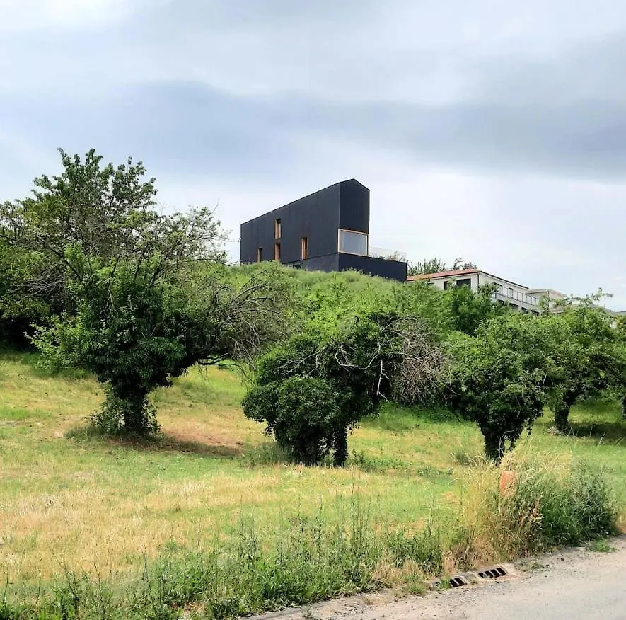 Elegante Villa Neuve D'Architecte Dallet