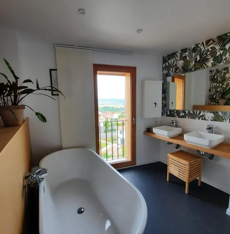 Elegante Villa Neuve D'Architecte Dallet